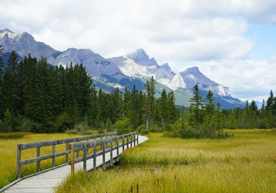 Green grass field under white clouds across Canadian Rockies - how to move out of the USA