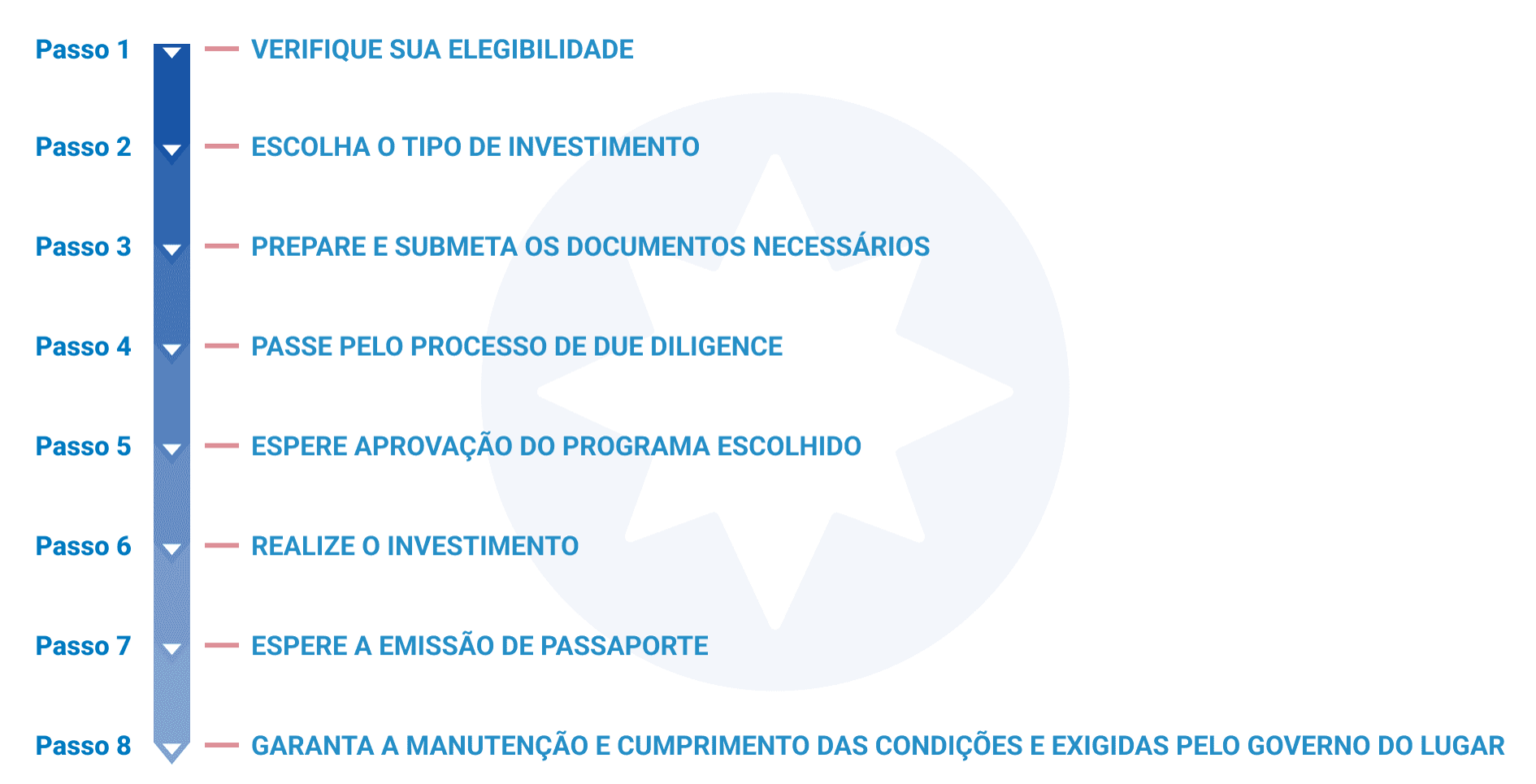 passo a passo visto de investidor antigua e barbuda 1536x785