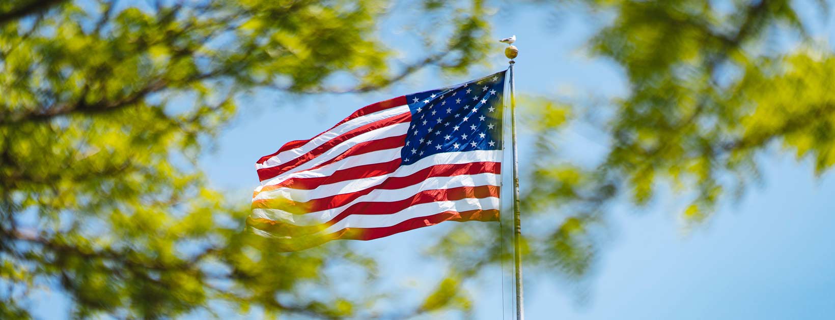 e-2-visa-south-africa-how-south-africans-can-get-an-e-2-visa