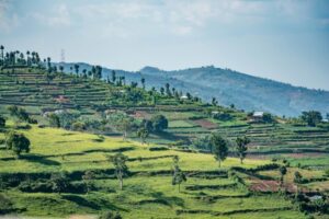 View of lush green Rwandan farmlands - fast-growing East African economy