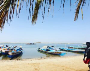 Local fishing boats moored by the seashore in Senegal with overhanging trees - fast-growing economic growth in Africa