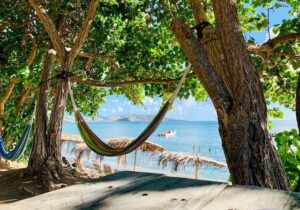 A hammock hanging between two trees on a beach in Saint Kitts and Nevis - St Kitts and Nevis immigrant investment