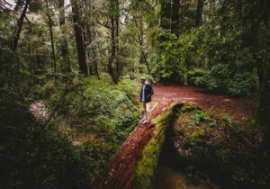person in a black jacket hiking in Canada during daytime