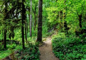 waitukubuli-national-trail