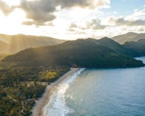 dominica taxation