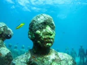 warm waters of grenada