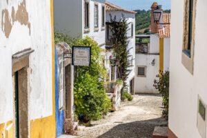 narrow street in Portugal best things 