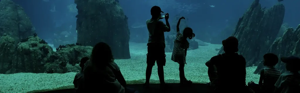 children visiting Lisbon Aquarium
