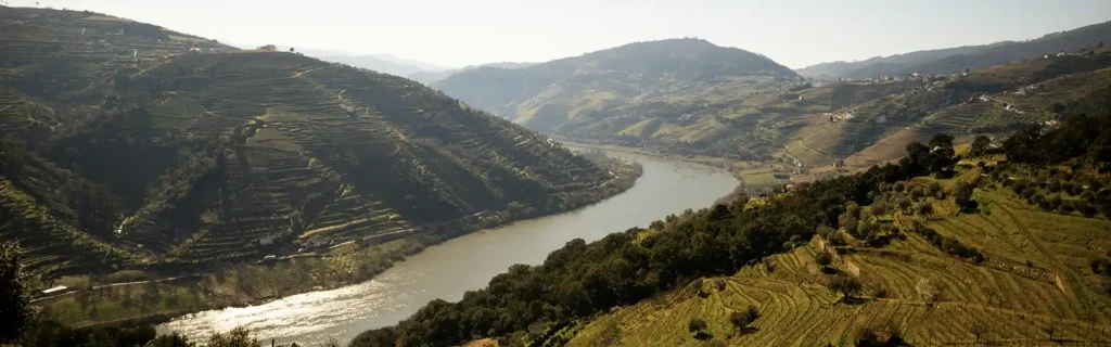 Douro Valley in the north of Portugal