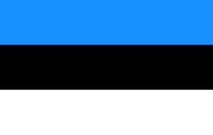 Estonia flag - one of the best European education systems