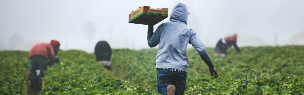 Typical E8 Visa sectors include as agriculture, tourism, or hospitality.