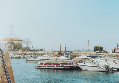 Small boats and yachts docked at a calm marina with buildings and trees in the background.