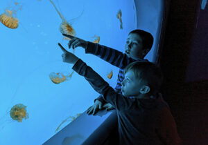 aquarium with kids and fish