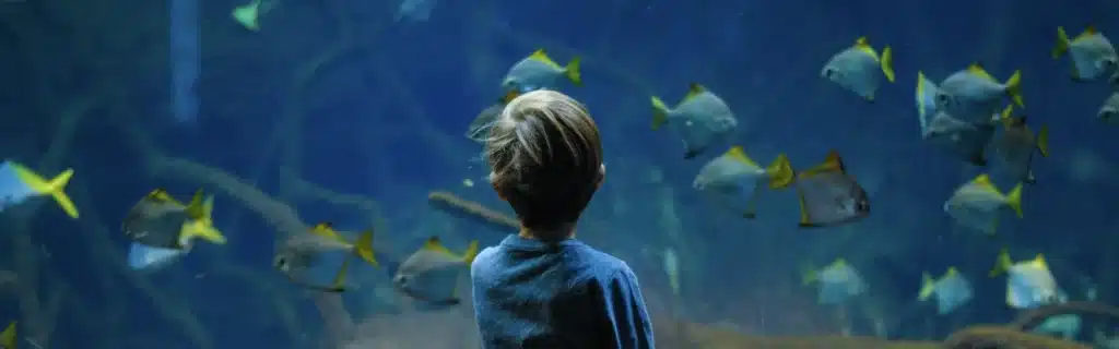 a boy in an aquarium