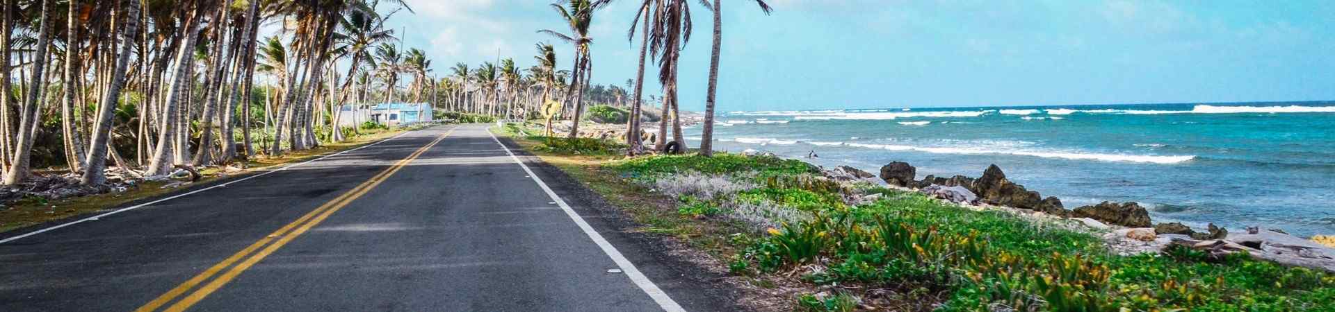 nauru road of the coast with palm trees and the ocean on the right
