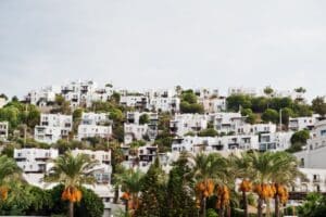 Cyprus properties on a hillside with palm trees in front - retire in Europe