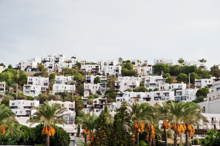 cyrpus properties on a hill side with palm trees