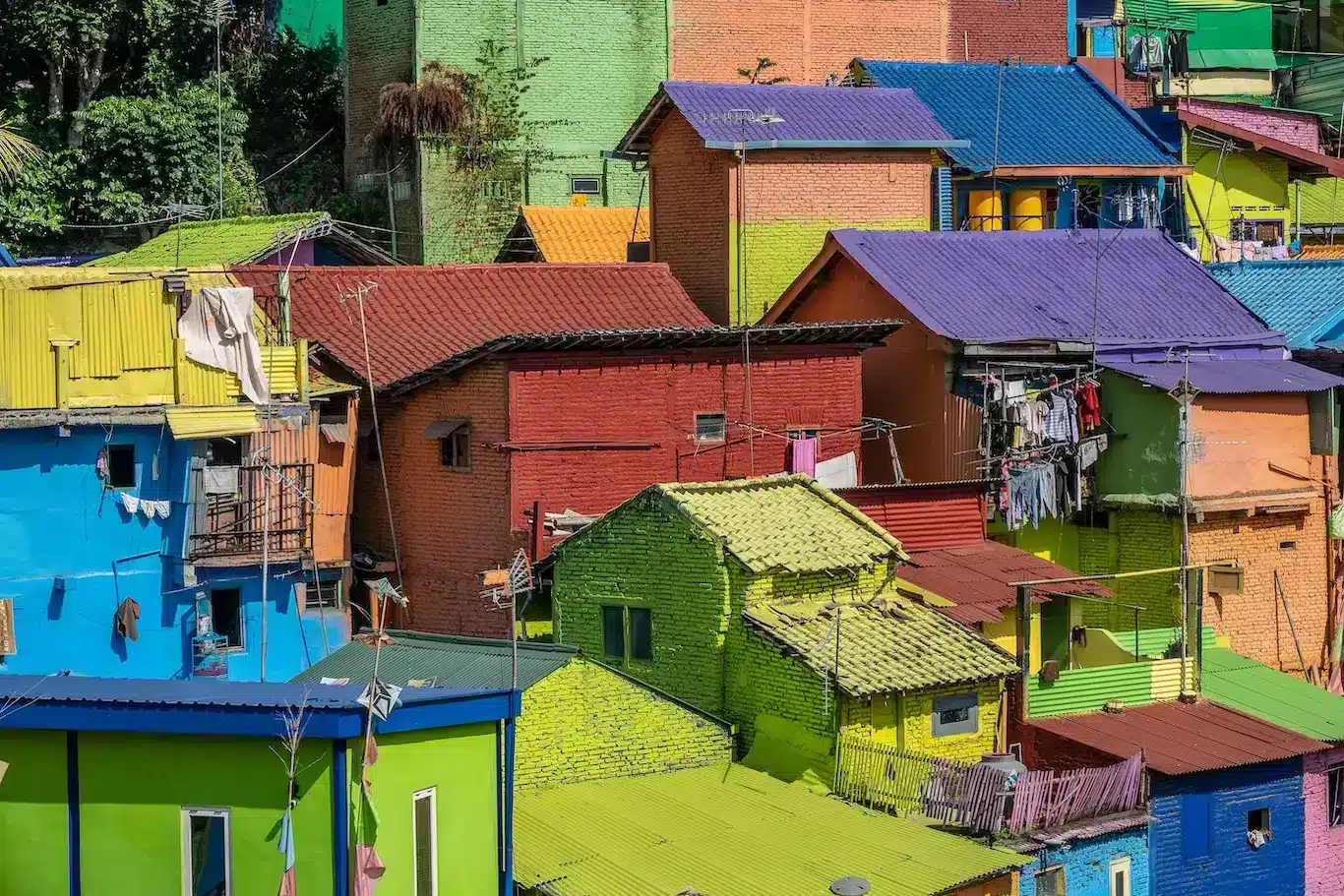 Vibrant houses