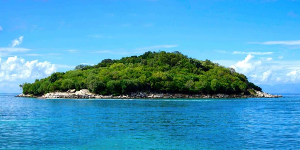 An island surrounded by ocean, featuring lush green trees and a clear blue sky above.