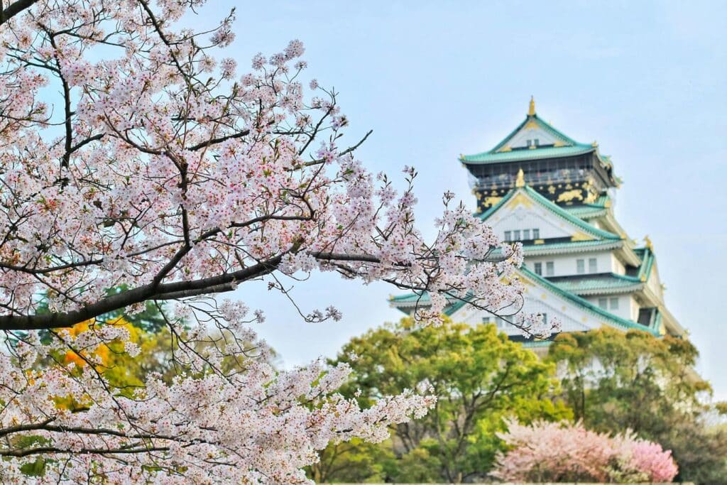 Osaka Castle stands majestically in the background, surrounded by lush greenery and a clear blue sky.