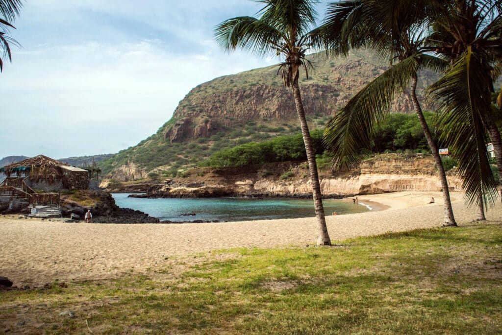 A scenic beach with palm trees and a mountain rising in the background under a clear blue sky.