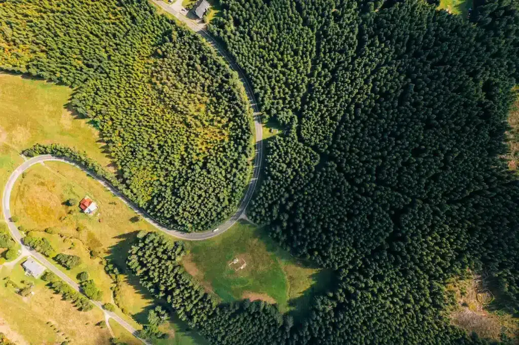 Aerial view of a winding road surrounded by dense green forest.