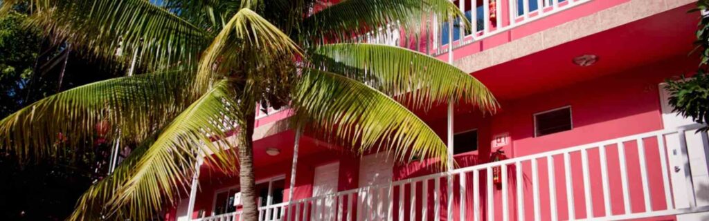 basic hotel in roseau, dominica