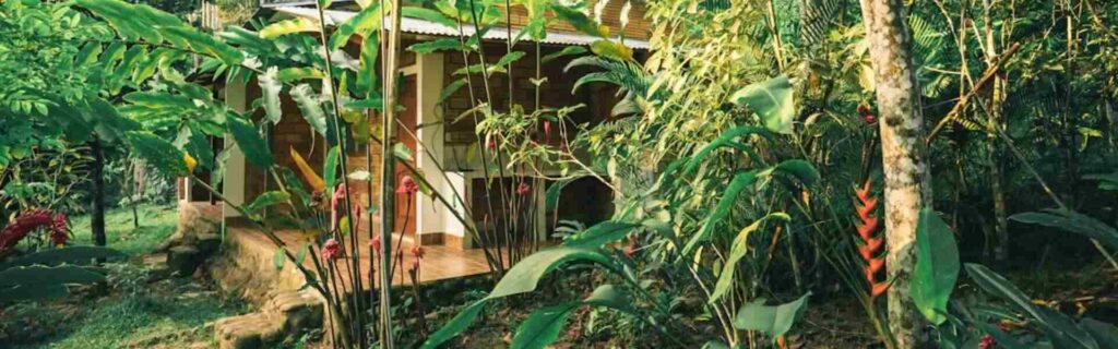 boutique dominica resort in lush vegetation