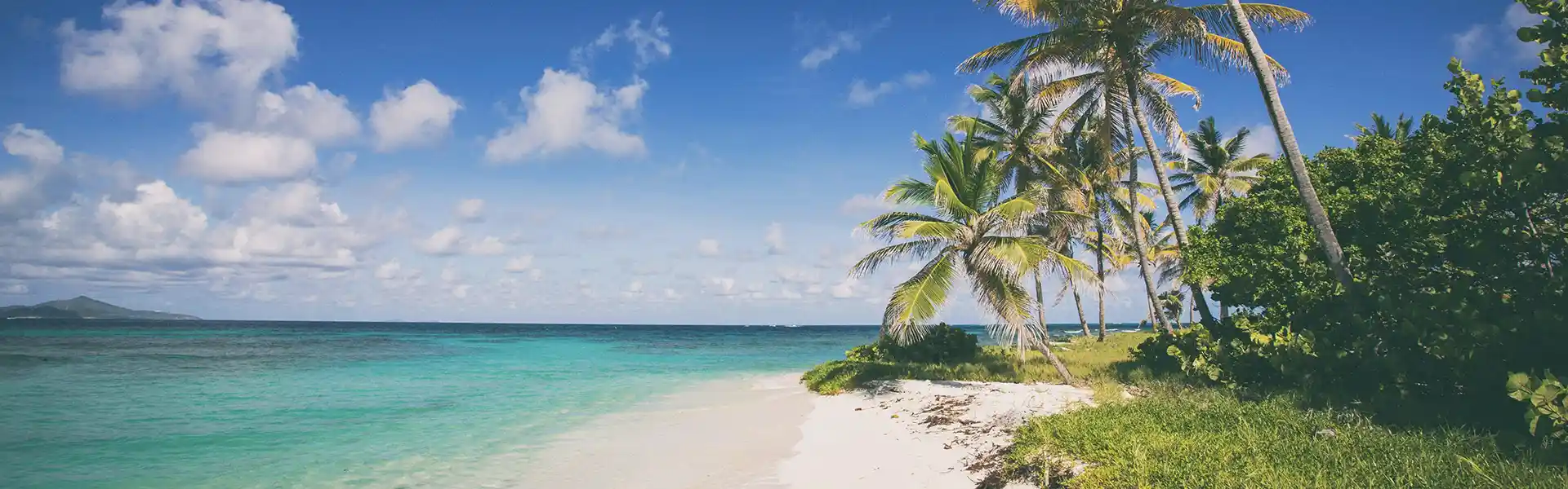 caribbean-long