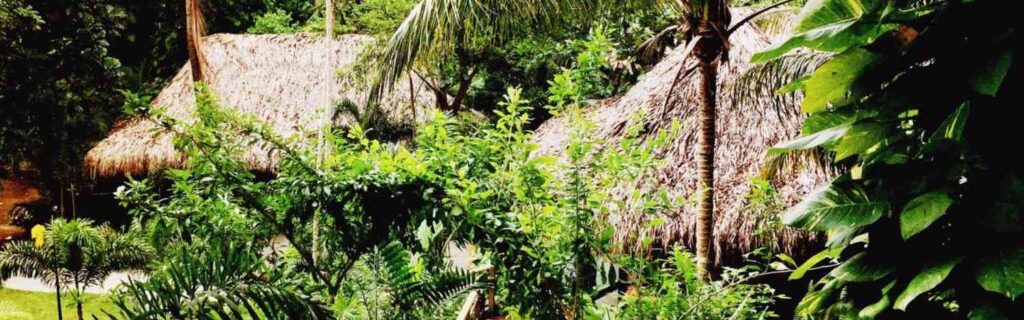 hotel sanctuary in a forest in st kitts