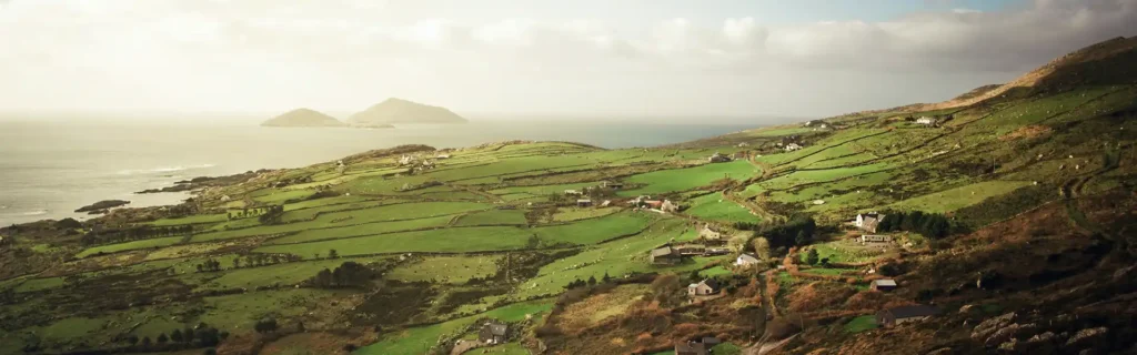 Misty green hills in Ireland 