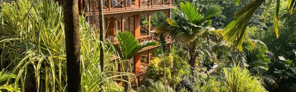 jungle-based inn in dominica