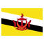 Brunei flag