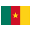 Cameroon flag