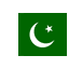Pakistan flag