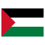 Palestine flag