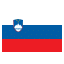 Slovenia flag