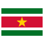 Suriname flag