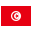 Tunisia flag