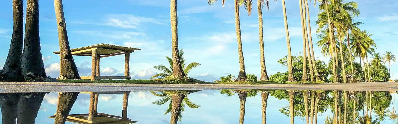 Palm trees on Nauru island - easiest countries to get citizenship