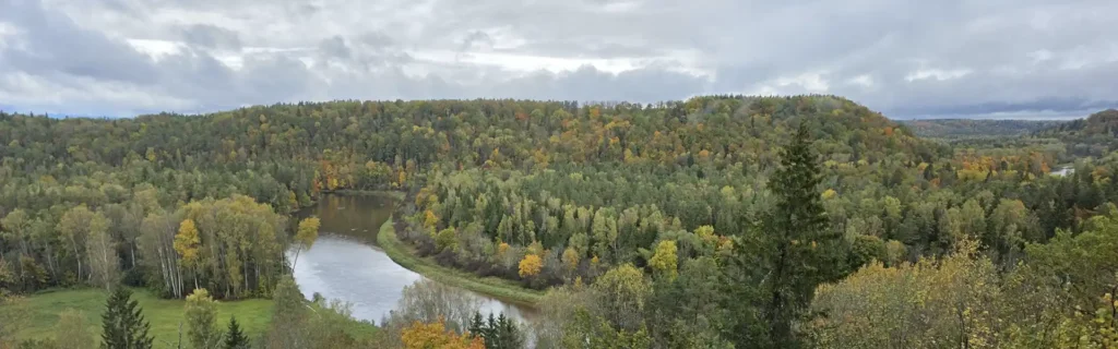 Sigulda forest with trees and a river, one of the top things to do in Latvia