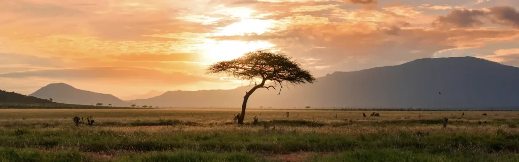 landscape in Kenya, Africa