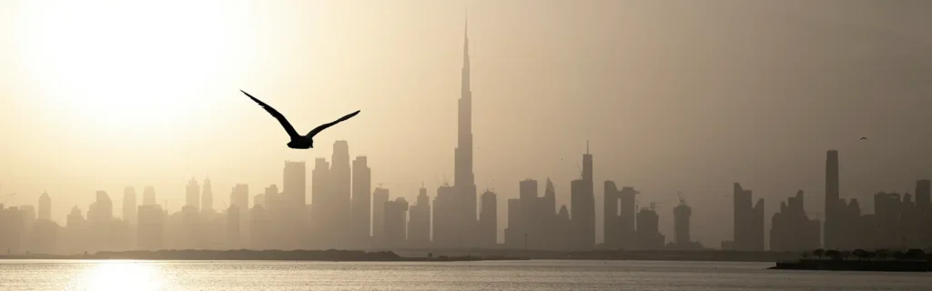 UAE Residency Through Company Formation: View of UAE company buildings in distance with a bird flying in the air